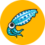 squid-reverseproxy